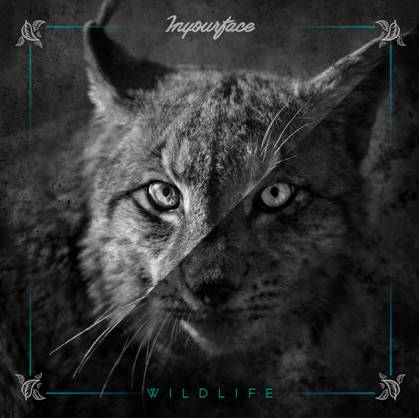Reseña: Próximo disco de Inyourface “Wildlife”