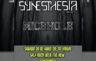 Crónica Synesthesia + Micehole  – 20 de abril en Santander