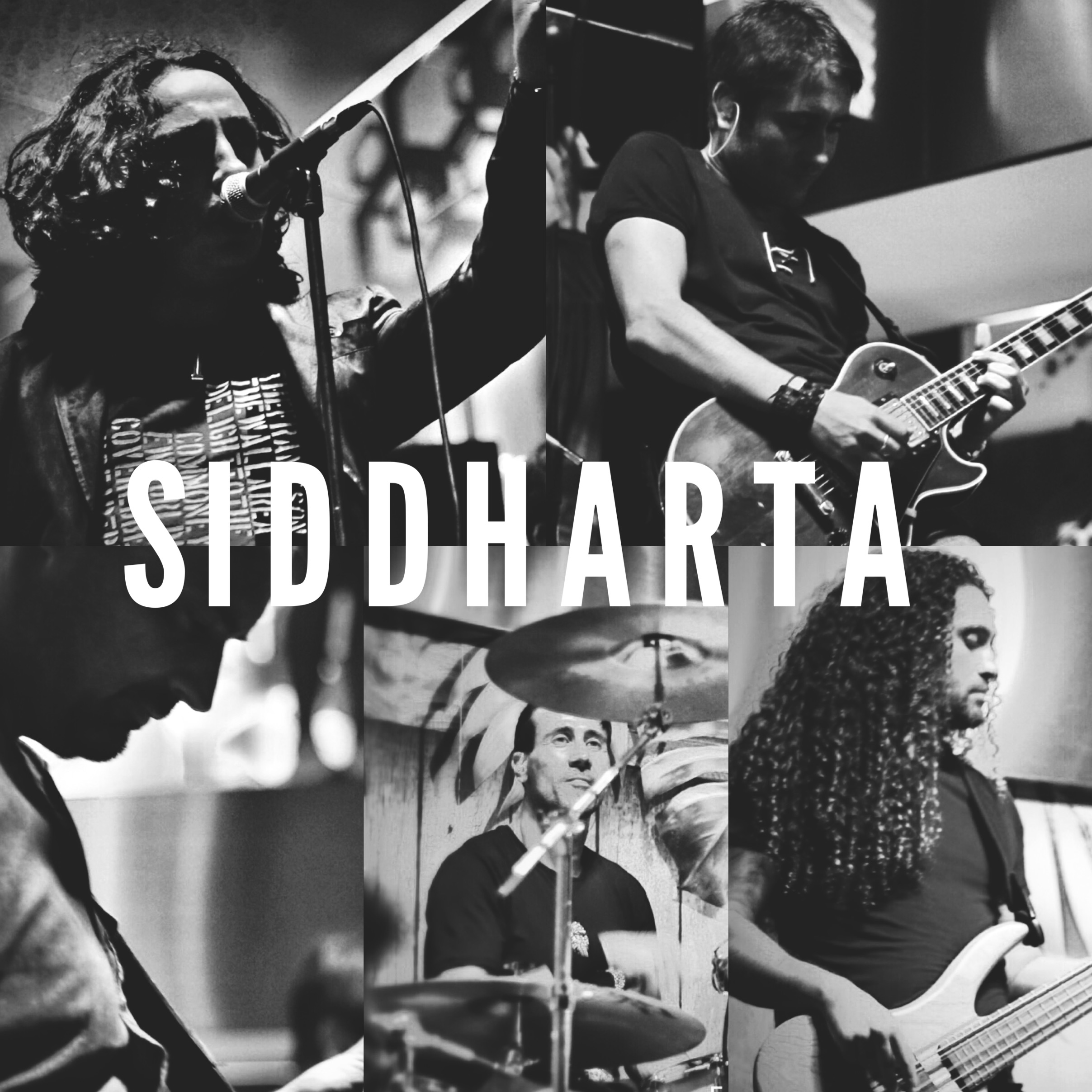 Entrevista a SIDDHARTA (Fernando Pleite)