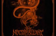 [Entrevista] a The Noctambulant