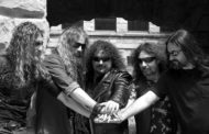 WARCRY anuncia un parón indefinido