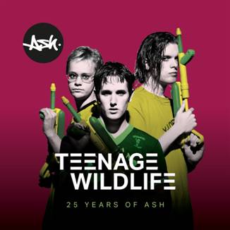 ASH publica su álbum 25 Aniversario: ‘TEENAGE WILDLIFE: 25 Years Of Ash’