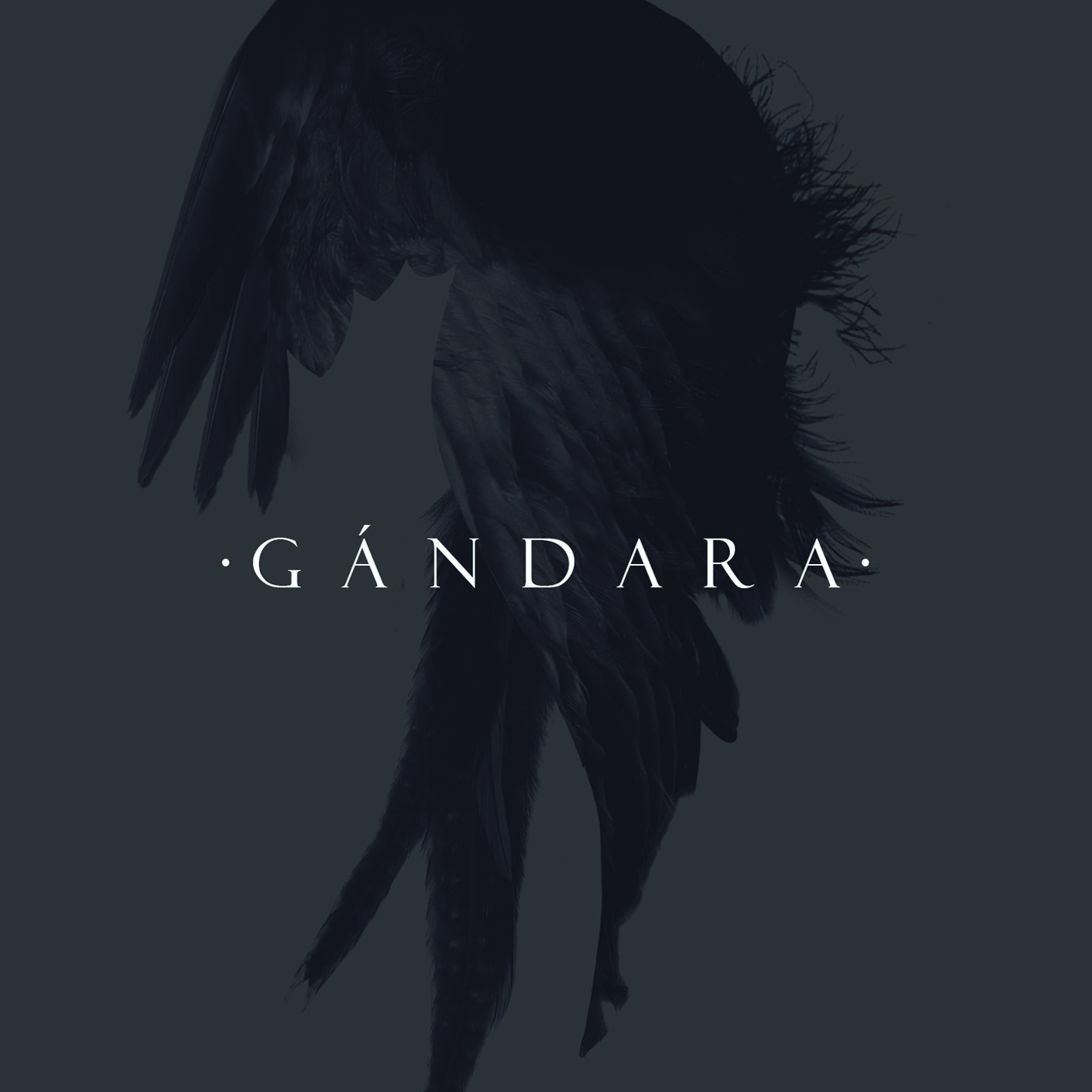 GÁNDARA –  Álbum, videoclip y portada