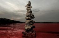 Reseña – Review: Sevendust “Blood & Stone”
