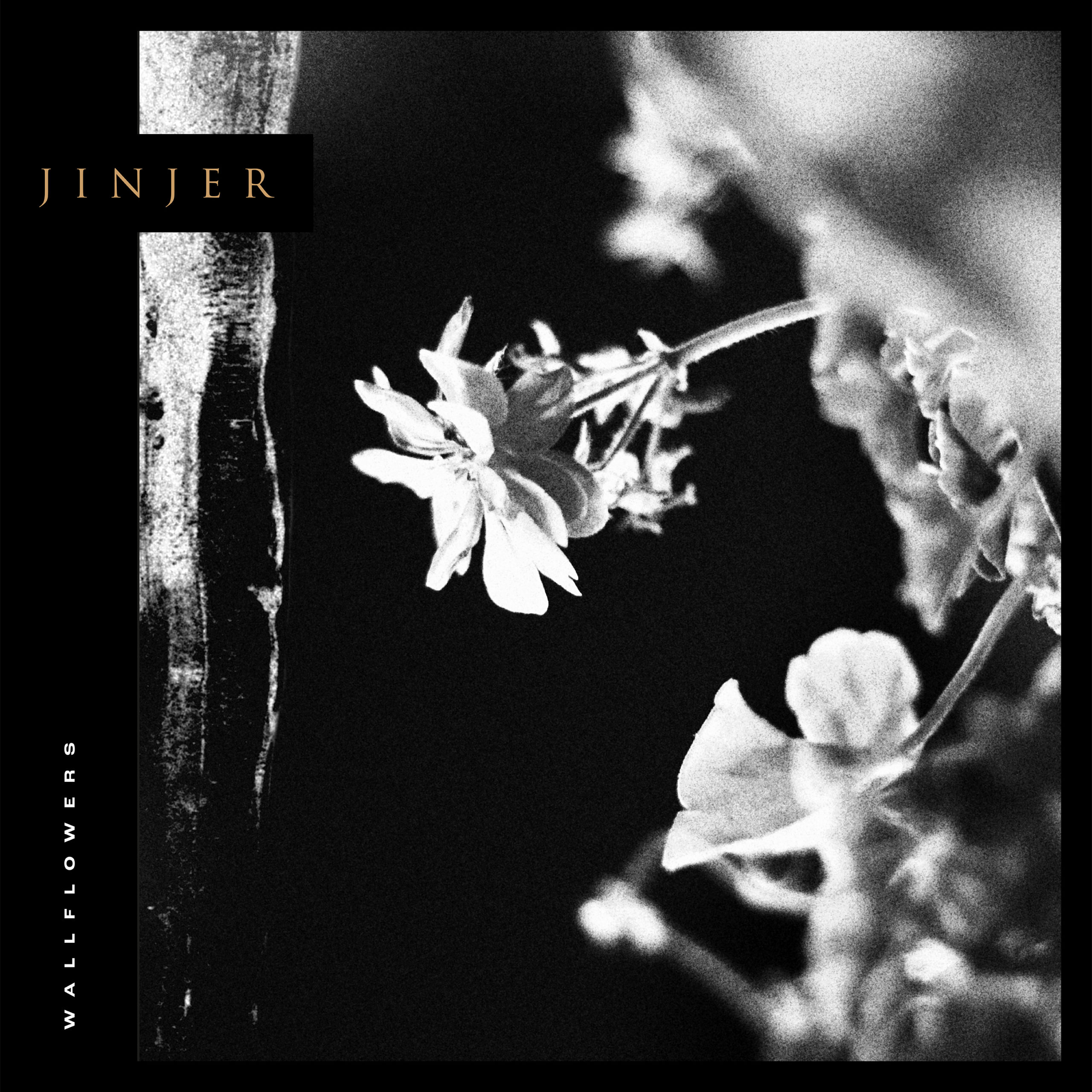 Review: Jinjer “Wallflowers”