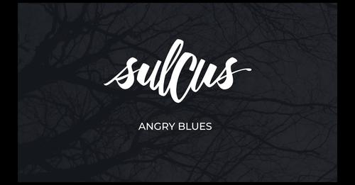 Sulcus: Nuevo single “Angry Blues”