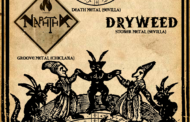 Devil In You + Naphtha + Dryweed el 2 de abril en Sevilla