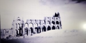 IMG 20261020