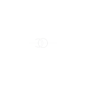 LOGO BLANCO EXSILYUM